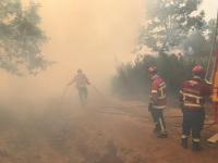 Prisão preventiva para suspeito de dois crimes de fogo florestal em Ourém