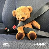 GNR nas estradas para fiscalizar uso de cinto, capacete e cadeiras de crianças