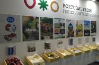 Portugal Fresh lança projeto de internacionalização com 1,6 ME de investimento