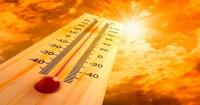 Todos os distritos do continente sob aviso laranja entre hoje e 4.ª feira devido ao calor