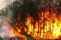 Mais de 60 concelhos de nove distritos em perigo máximo de incêndio