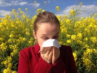 Concentração de pólen no continente na próxima semana implica risco moderado a grave para alérgicos