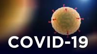 Covid-19: Portugal regista seis mortes e 478 novas infeções