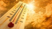Saúde Pública do Médio Tejo faz recomendações de prevenção dos efeitos do calor