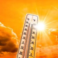 DGS recomenda atenção aos mais vulneráveis por causa do calor