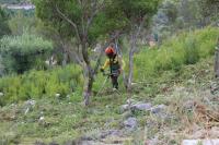 Sapadores da CIM do Médio Tejo fizeram gestão de 250 hectares de floresta em 2023