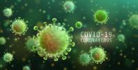 Covid-19: Três mortes, 559 novas infeções e internamentos a descer nas últimas 24 horas