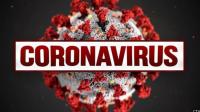 Covid-19: Portugal com 105 mortes e 1.944 casos de infeção nas últimas 24 horas