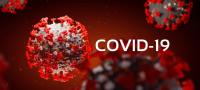 Covid-19: Portugal com 127 mortes e 2.324 casos de infeção nas últimas 24 horas