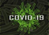 Covid-19: Portugal regista 15 mortes e 541 novos casos de infeção nas últimas 24 horas
