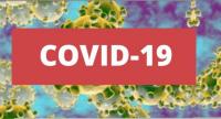 Covid-19: Portugal regista 252 mortes em 24 horas