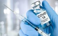 Covid-19: Mais 25 pessoas internadas, 902 novas infeções e duas mortes  