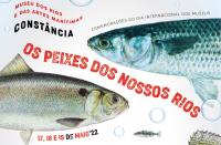 Ler notícia «Os Peixes dos Nossos Rios» celebram Dia Internacional dos Museus