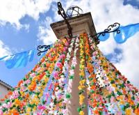 Milhares de flores nas ruas nas festas do Festas do Concelho 2024