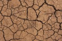Península Ibérica com “condições mais secas do que habitual” até novembro – Bruxelas