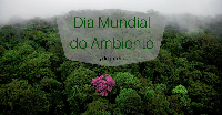 Dia Mundial do Ambiente assinalado hoje em Portugal com debates e exposições