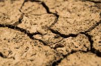 Perdas económicas ligadas à seca podem atingir 45 mil milhões de euros ano