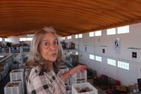 Banco Alimentar de Abrantes dá apoio a mil famílias de 11 concelhos