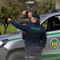 Santarém, Castelo Branco, Braga, Coimbra e Aveiro entre distritos com menos limpeza de terrenos - GNR