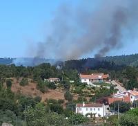 Sardoal: Incêndio consome floresta em Cabeça das Mós (EM ATUALIZAÇÃO)