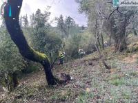 Sapadores Florestais limparam mais de 40 hectares de terrenos no Médio Tejo