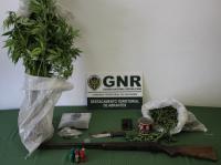 GNR detém 2 indivíduos por tráfico de estupefacientes