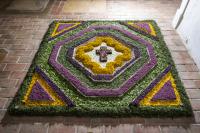 Tapetes de Flores adornam Igrejas e Capelas do concelho