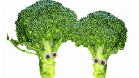 Quando os brócolos conversam: Estudo investiga como o cérebro processa frases ficcionais