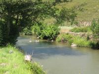 Vila de Rei: Percurso Interpretativo das linhas de água das ribeiras da Isna e do Bostelim adiado para 21 de agosto