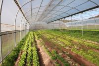 100 mil euros para apoiar pequenos investimentos agrícolas no Ribatejo Interior