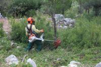 Incêndios: Identificados mais de 14 mil locais por falta de limpeza de terrenos - GNR