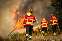 Mais de 30 concelhos de sete distritos em perigo máximo de incêndio