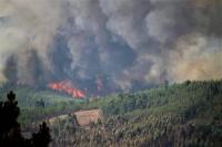 Proteção Civil alerta para risco de incêndios e apela a medidas preventivas