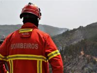 Incêndios: Bombeiros voluntários vão receber 57 euros por dia, mais três do que em 2020