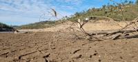 A seca já afeta a agricultura na região de Abrantes (C/ÁUDIO)