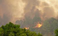 Proteção Civil alerta para risco máximo de incêndio no Algarve, Norte e Centro até quarta-feira