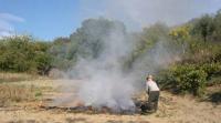 Vila de Rei: Proibida a realização de queimas de sobrantes até ao dia 15 de junho 