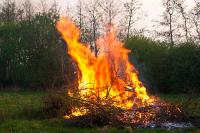 Quercus defende alternativas às queimadas para sobrantes florestais