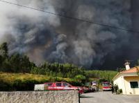 Sertã: PJ detém suspeito de ter ateado vários incêndios florestais na região