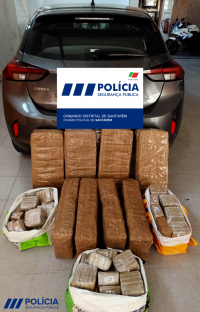 Quatro detidos em operação de combate ao tráfico de droga em Santarém