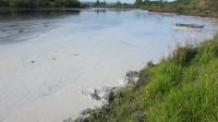 Movimento proTEJO reclama em carta aberta por despoluição dos afluentes do rio Tejo