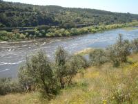 Espanha disponível para distribuir de forma mais uniforme água para o rio Tejo