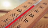 DGS recomenda medidas de proteção adicionais contra o calor