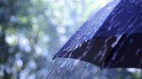 Proteção Civil registou 200 ocorrências em todo o país devido à chuva nas últimas 16 horas