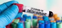 Covid-19: Prevalência da variante Delta superior a 60% em Lisboa e Vale do Tejo