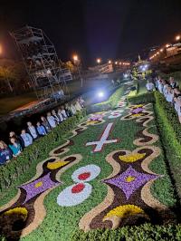 O tapete de flores de Sardoal para a Cerimónia do Acolhimento com o Papa (fotogaleria)