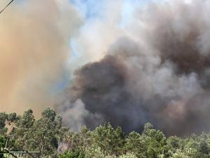 Sardoal: Incêndio no Brescovo preocupa bombeiros (em Atualização)
