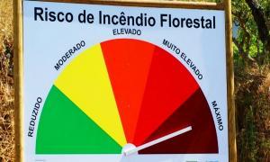 Incêndios: Quatro concelhos de Faro, Santarém e Portalegre em risco máximo