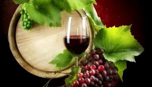 Produtores de vinho obrigados a declarar ‘stocks’ até setembro