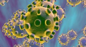 Covid-19: Cerca de 30% dos infetados contraiu o vírus em casa 